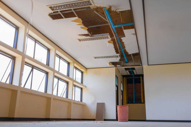 Best Water damage restoration near me  in North Zanesville, OH