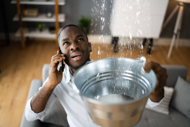 Best Water damage restoration services  in North Zanesville, OH