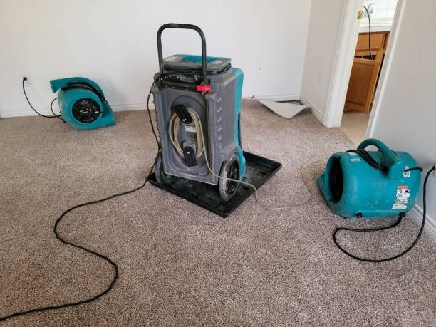 Best Carpet water damage restoration  in North Zanesville, OH