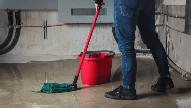 Best Sewage cleanup and water damage restoration  in North Zanesville, OH