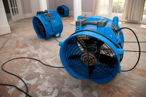 Best Water damage restoration near me  in North Zanesville, OH