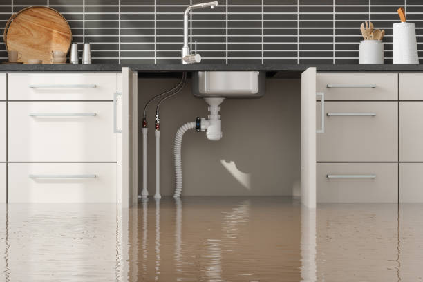 Best Water damage contractors near me  in North Zanesville, OH