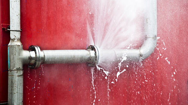 Best Professional water damage repair  in North Zanesville, OH